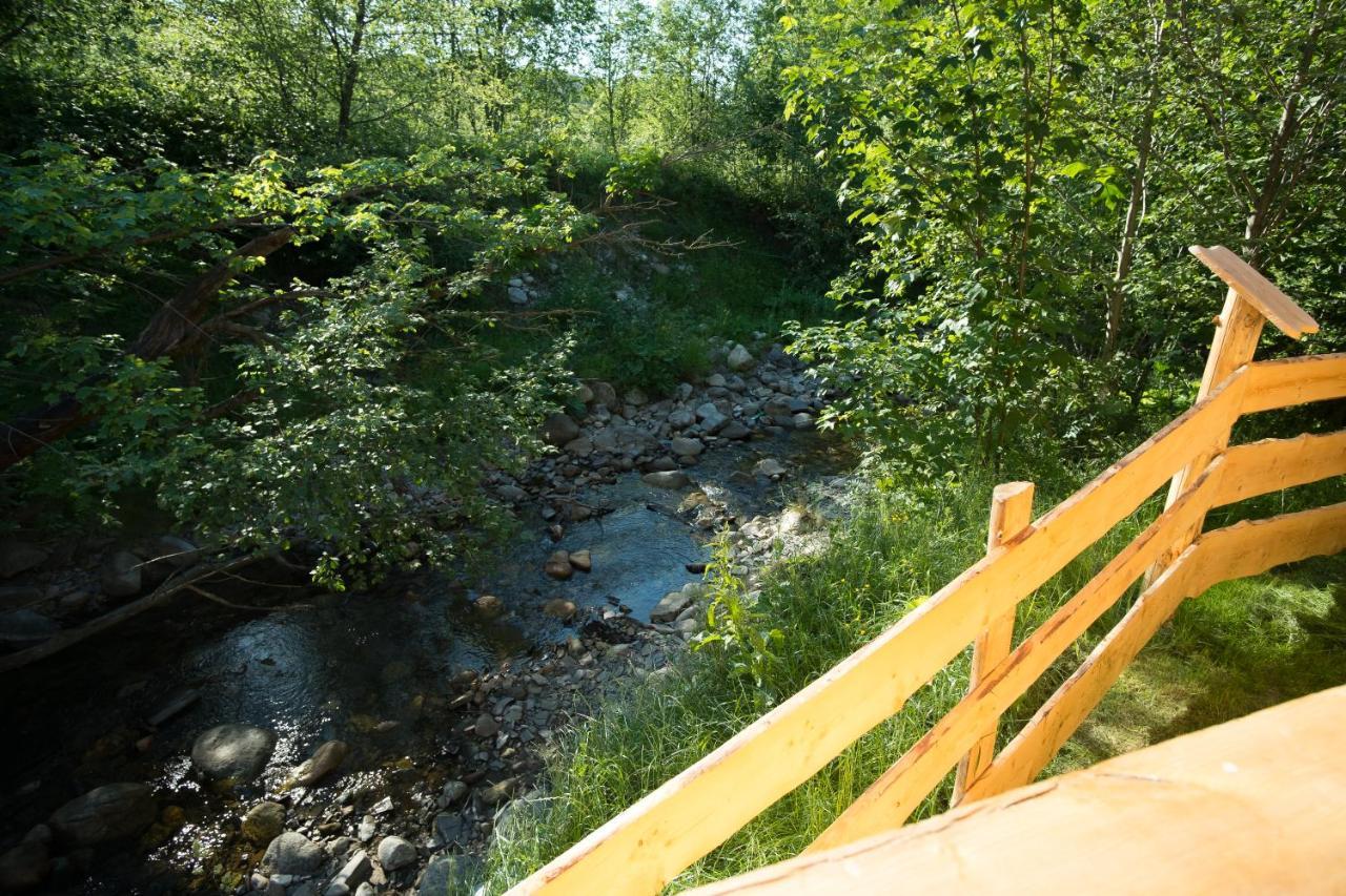 Zakopianskie Domki Przy Potoku Zakopane Exterior foto